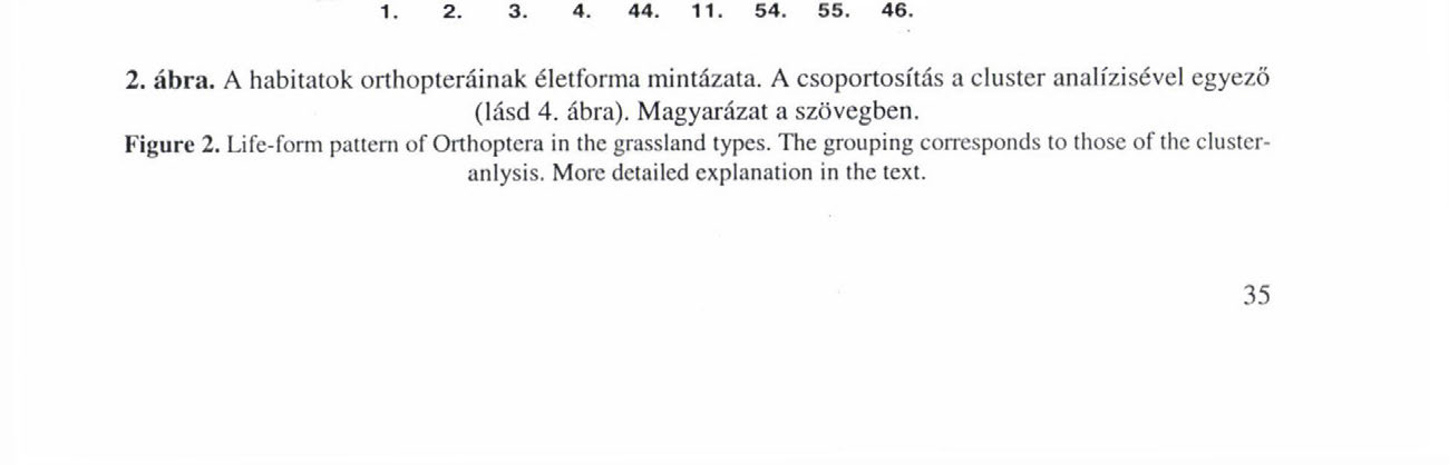 EGYENESSZÁRNYÚ EGYÜTTESEK ÉLETFORMA-SPEKTRUMÁNAK
