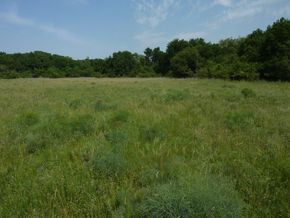 Natura 2000 fenntartási