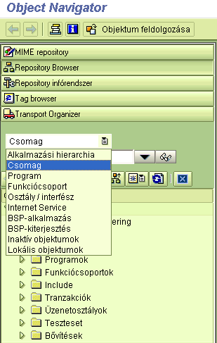 Fıbb objektumok Csomag Program Funkciócsoport Osztály / interfész Internet service Lokális objektumok BSP-alkalmazás Inaktív objektumok 15 Package: A csomagok egyfajta csoportosítása a repository