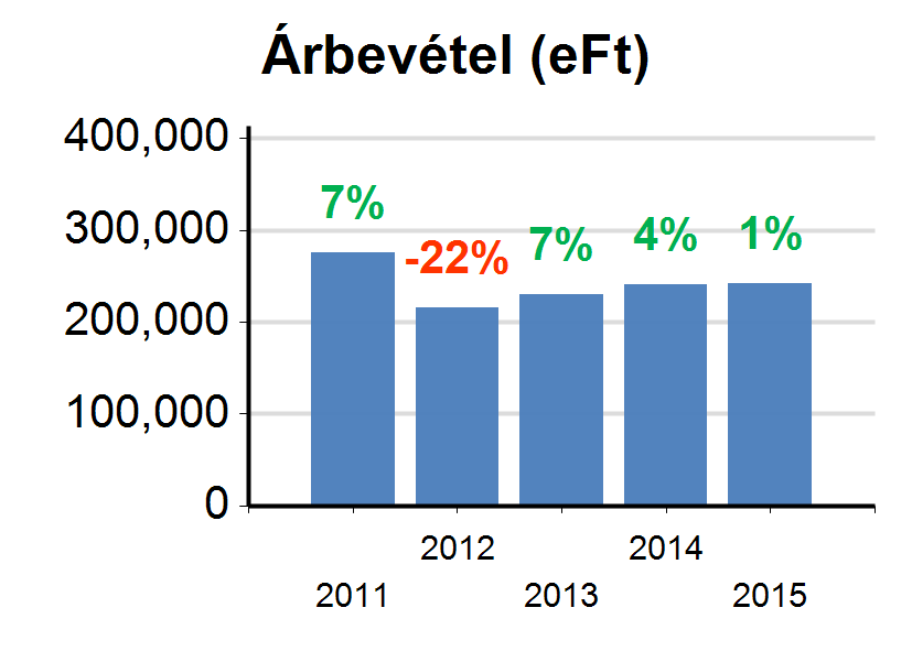 9. Könyvvizsgálók -, A szervezet képviseletére jogosult személy adatai: Vinkovits Béláné (an.