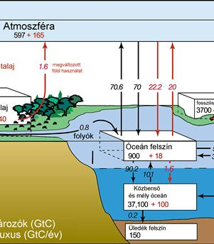 Az emberi tevékenység hatása a szén körforgására Az ábrán látható, hogy a beoldódott fosszilis szén zöme az óceánokban még a felszíni rétegekben található, de lassú penetrációja megindult a termoklin