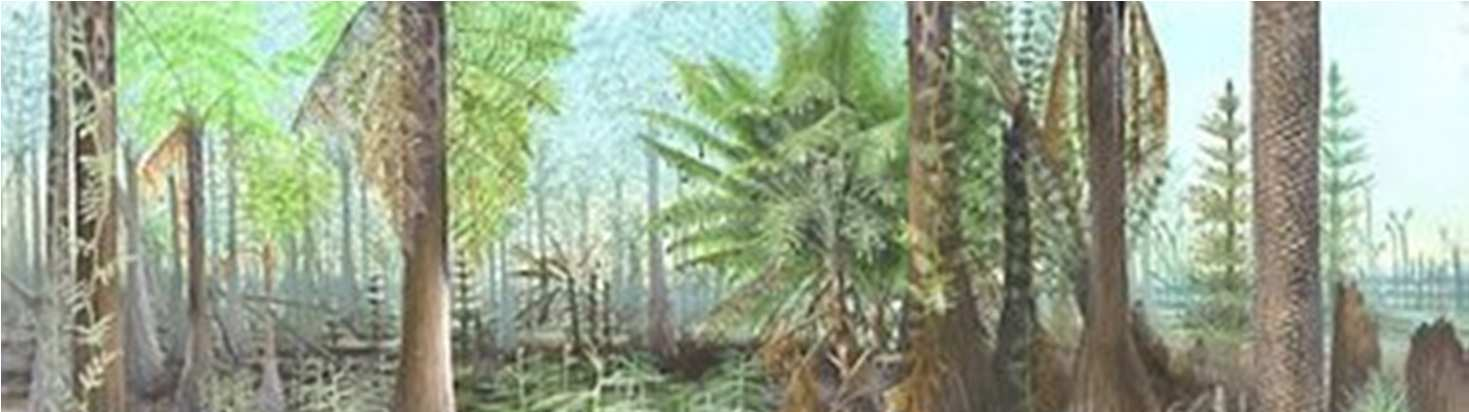 Karbon végére, 290 millió éve hatalmas vegetáció (haraszt mocsárerdők) alakult ki, nagy mennyiségű oxigén termelődik, így a