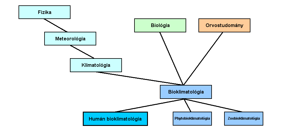 2. Szakirodalmi áttekintés Az élı szervezetek mőködése szoros kapcsolatban áll az ıket körülvevı légkör állapotával.