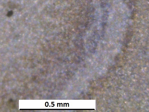 Ezzel ellentétben, a B oldatban, a szacharóz hatására képződött aránylag vastag biofilm (8.