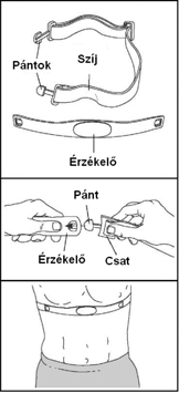 A MELLKASI PULZUSMÉRŐ HASZNÁLATA A MELLKASI PULZUSMÉRŐ FELHELYEZÉSE A mellkasi pulzusmérő két részből áll: a mellkasi szíjból és az érzékelő egységből Helyezze a mellkasi szíj egyik végét az érzékelő