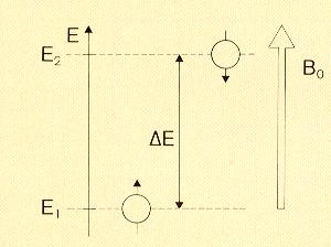 =+1/2; α m I =-1/2; rendeződés