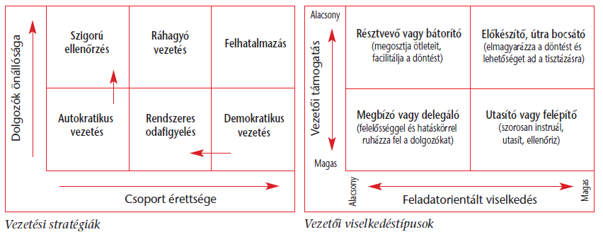 A céget vezetni kell!