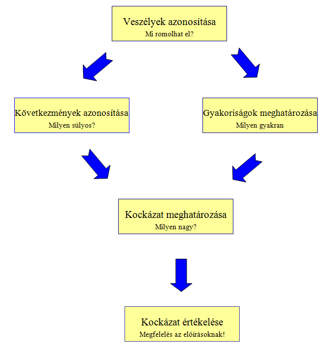 AZ IPARI BALESETEK KOCKÁZATAINAK MEGHATÁROZÁSA VESZÉLY-AZONOSÍTÁS A kockázatfelméréshez szükséges valamennyi információ összegyűjtése után az első és legfontosabb lépés az üzem, üzemelés vagy