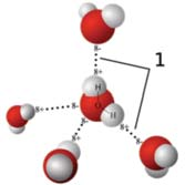 szerkezet Koordinációs szám: 4 (minden molekula 4 másikat koordinál)