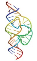 ) ~2 x 2 x 2 μm3 ~2 x 2 x 2 m3 (= 8 m 3 ) Magas rendű DNS csomagolásban szerepet játszó fehérjék: kondenzinek DNS lánc: lineáris, bonyolult