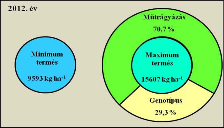 17. ábra. A műtrágyázás és a genotípus szerepe a kukorica termésének alakulásában (Debrecen, 2012) A 2013.
