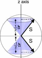 Ezt jelzi a spinkvantumszám: s; a spinvektor z-vetülete: m s. Az imp. mom.