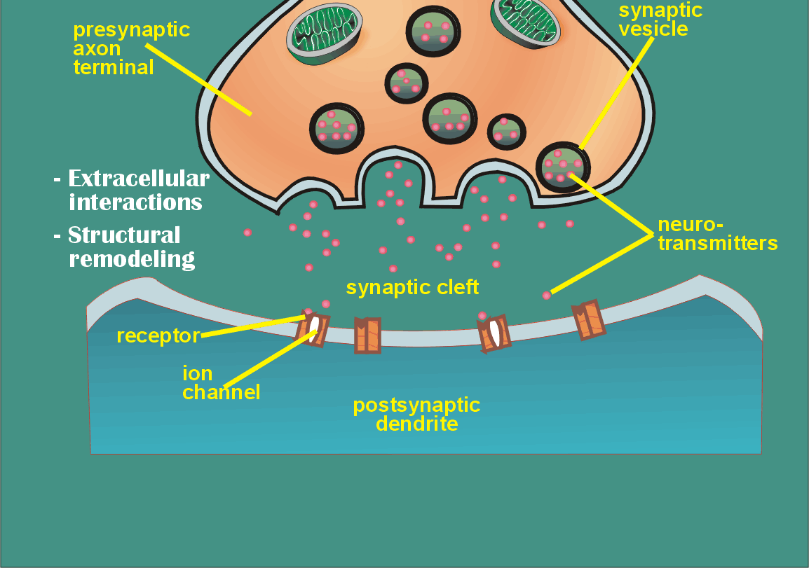 biokémia,