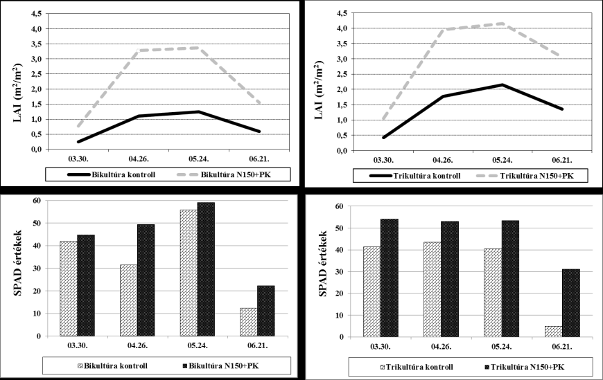 PEPÓ P. 4. ábra: A vetésváltás és a trágyázás hatása a búza levélterület index (LAI) értékeire és relatív klorofill tartalmára (SPAD értékek) (Debrecen, csernozjom talaj, 2011, Vári E.- Pepó P.