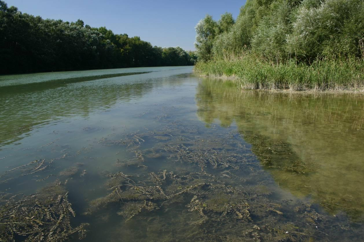 -Időszakosan átfolyó -Kavicsos aljzat -Hínármentes -Reofil fajok gyakoriak 24 Jelenleg -