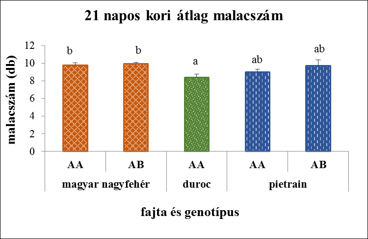 Az ESR gén adatainak statisztikai elemzése azt mutatta, hogy a magyar nagyfehér kocák esetében az átlagos élve született malacszám 2,06 malaccal volt több (P 0,004) a duroc utódokhoz viszonyítva és