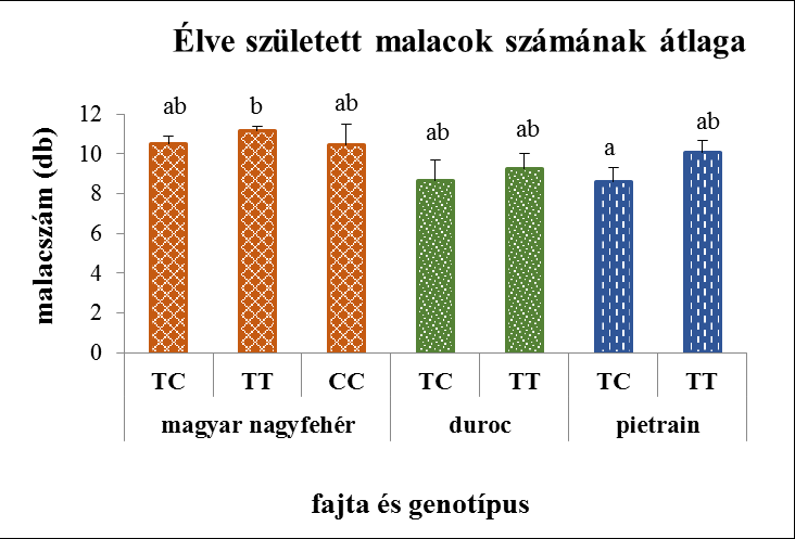 A LEP gén polimorfizmusaira vonatkozó adatok elemzése azt mutatta, hogy a magyar nagyfehér hússertés a többi vizsgált fajtánál kevesebb holt malacot hozott világra.