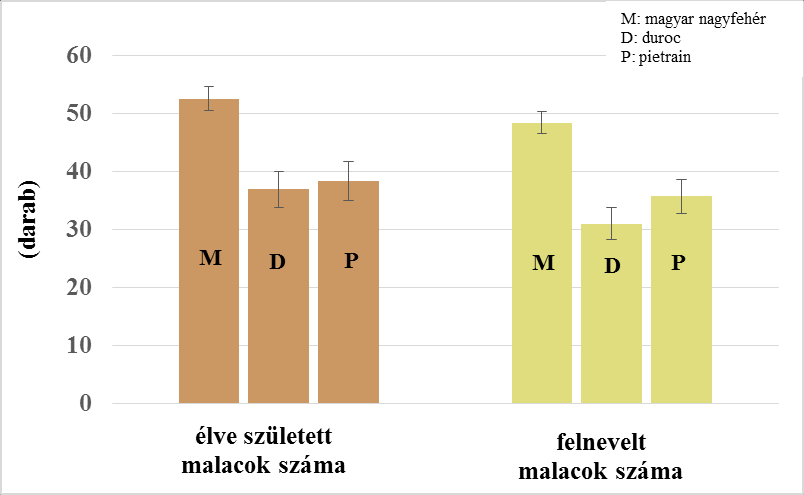 melléklet M: magyar nagyfehér D: duroc P: