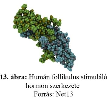 az AB hizóknál volt a legnagyobb, 44,48 cm 2. Az AA egyedek esetében ez az érték 0,24%-kal, a BB sertéseknél 2,48%-kal volt kevesebb. 3.8.4. Follikulus-stimuláló hormon béta alegység gén (FSHβ) A follikulus stimuláló hormont (13.