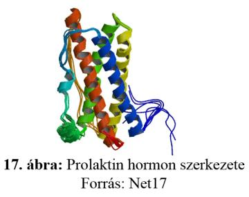 3.8.7. Prolaktin receptor gén (PRLR) A prolaktin hormon a hal kivételével minden gerincesben jelen van. 197-199 aminosavból áll és 6 ciszteint tartalmaz, mely 3 diszulfid hidat hoz létre (17. ábra).