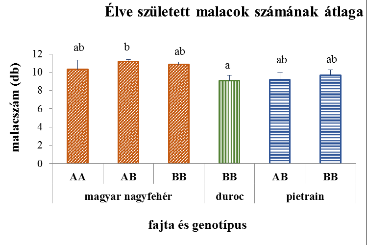 29. ábra: A szignifikáns különbséget mutató tulajdonságok alakulása a fajták genotípusaiban az FSHβ gén esetében A holtan született malacok számának adatai (29.