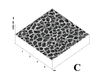 ábra: Polisztirol felületen létrehozott különböző felületi fedettséget eredményező kollagén rétegek Minta Felületi fedettség Statikus kontaktszög értéke A 93% 33o B 75% 33o C 37% 82o 2. táblázat: A 5.