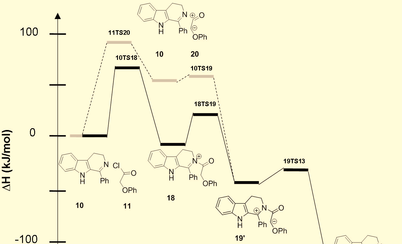 where the acid chloride (11) acylates the nitrogen atom of the carboline derivative (10), the energy requirement is with 15-20 kj/mol lower, than the formation of the appropriate ketene (Route II).