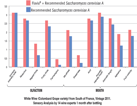 Metchnikowia pulcherrima (Candida pulcherrima) aromafokozás: α-arabinofuranozidáz aktivitás, észterek termelése Zygosaccharomyces bailii (forgalomban lévő törzs) Fruktofil élesztő, erjedésben