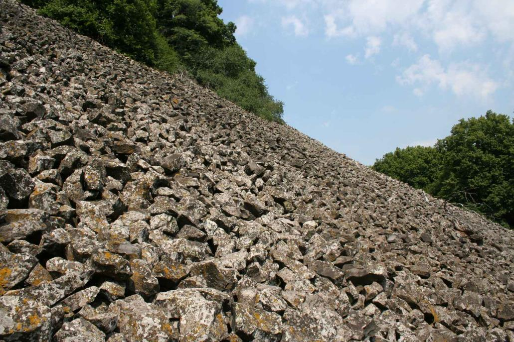 Tájvédelmi Körzetet, a Somló Tájvédelmi Körzetet, illetve Fonyód térségét.