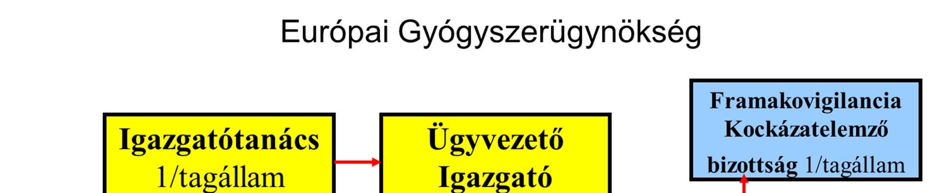 20. ábra: Az EMA felépítése 5.