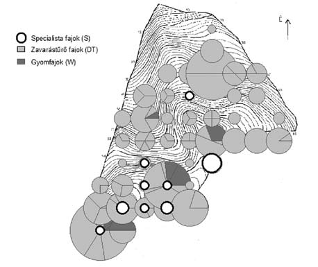 összborítású pontokat ábrázoltuk). A Shannon-index térképe árnyaltabb képet mutat, mint a fajszám. A nagy diverzitású területek a völgyaljak és a lankásabb gerincközeli területek.