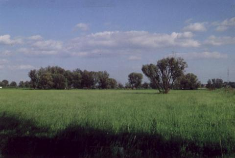 3.3. Élőhely-leromlás és szennyezés az előző kettőnél kevésbé látványos néhány hazai példa: 1.