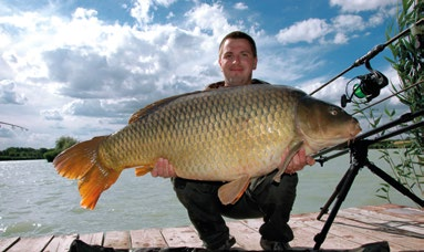 Carp Boilie Long Life A piros dobozos bojlik a Long Life, azaz a hosszú életű FŐZÖTT bojlik, amelyek minimum 72 órát kibírnak a