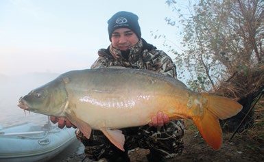 Kék Fúzió 800 g / 20 Carp Boilie Soluble A zöld dobozos a Soluble, azaz OLDÓDÓ bojli változat.