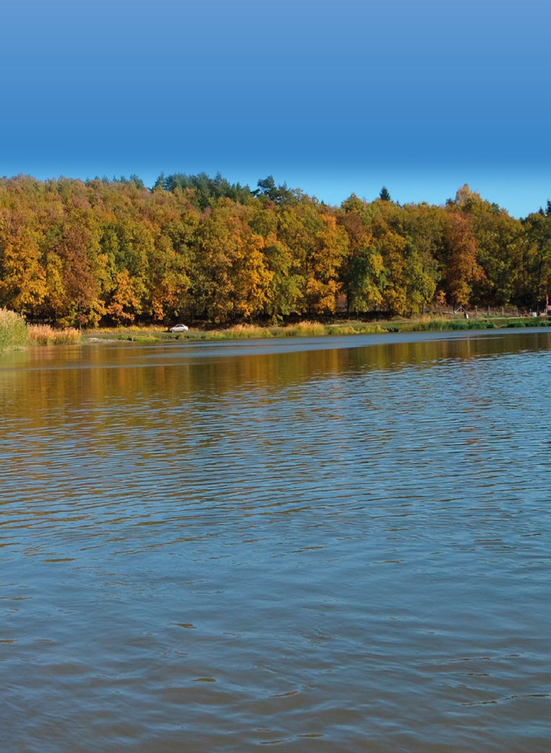 Zsinórok feederhorgászatra Horgászzsinórok hangolva Haldorádó Red Feeder Haldorádó Blue Feeder A Haldorádó Red Feeder és Blue Feeder a céltudatos feederhorgászok új igényeihez igazodó, alacsony