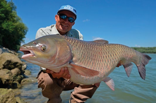 Fűszeres 900 g HDFER-NAT Haldorádó FermentX - Tejsavas