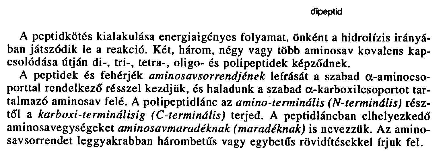 Aminósavak Fehérjék jelzési módszerei Az élő szervezett legelterjedtebb makromolekulái a fehérjék.