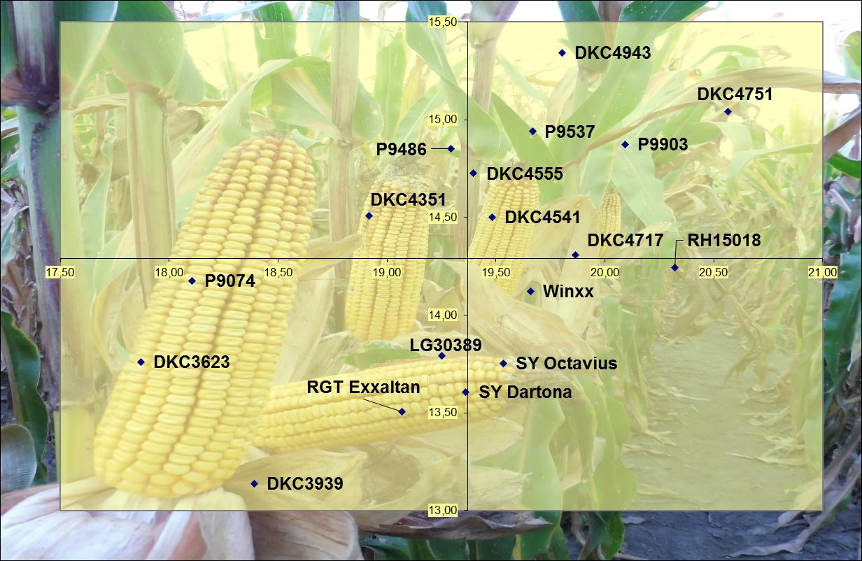 7 2. ábra: A Top20 kisparcellás hibridkukorica