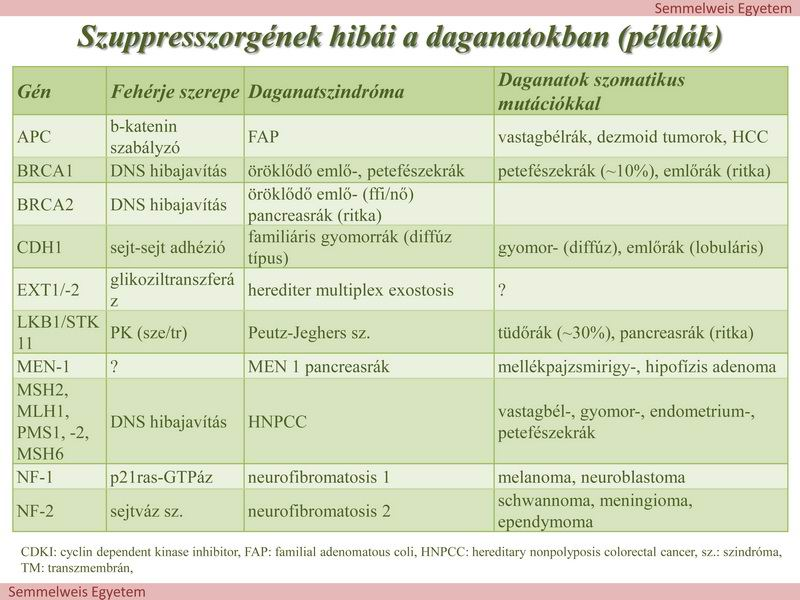 A szuppresszorgének hibái általában recesszíven, az onkogéneké dominánsan jelentkeznek. A szuppresszorgének inaktiválása a daganatkeletkezés egyik legfontosabb eseménye.