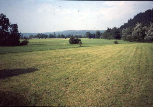 1.Chili culture in a dolines (South-Korea, left) and extensive field in Popovo polje on (Dinaric karst, right, Picture of author) Az urbanizáció, amely