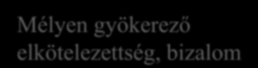 jobban megértjük annak okát, hogy ugyanazok a vevőérték elemek az egyik