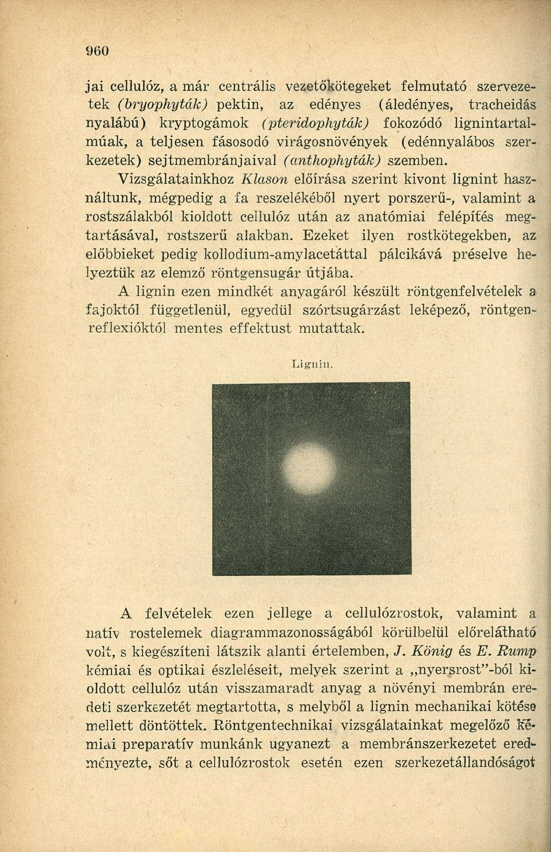 jai cellulóz, a már centrális vezetőkötegeket felmutató szervezetek (bryophyták) pektin, az edényes (áledényes, tracheidás nyalábú) kryptogámok (pteridophyták) fokozódó lignintartalmúak, a teljesen