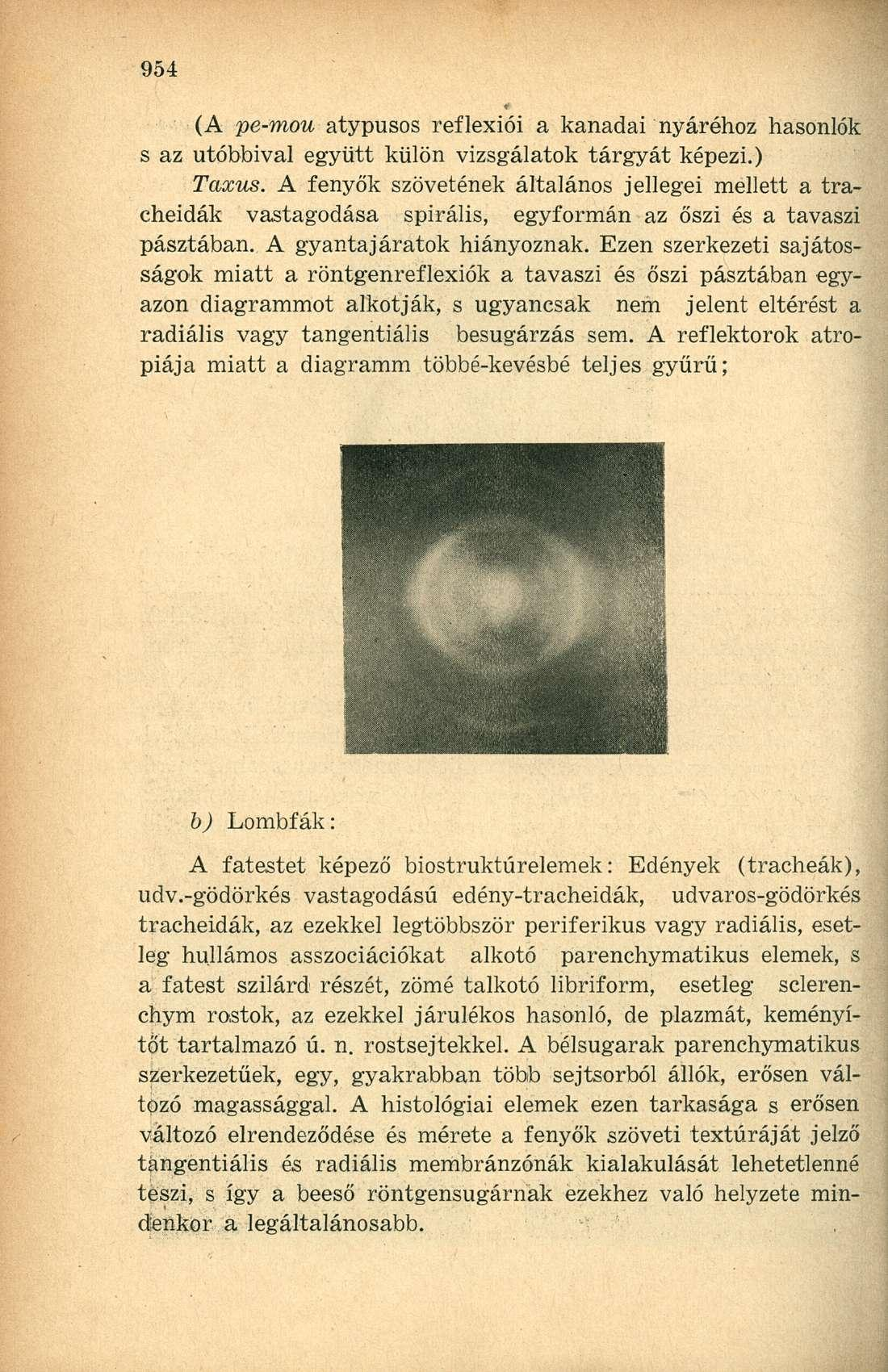 (A pe-mou atypusos reflexiói a kanadai nyáréhoz hasonlók s az utóbbival együtt külön vizsgálatok tárgyát képezi.) Taxus.