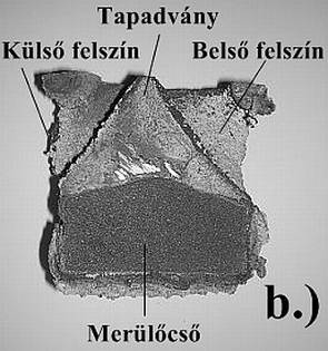 merőlegesen szintén 1mm szélességben vizsgáltuk meg. (5.