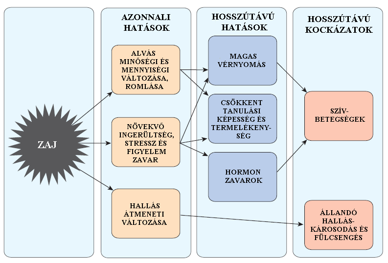 A ZAJ HATÁSAI Forrás: Monica S. Hammer, Tracy K. Swinburn, and Richard L.