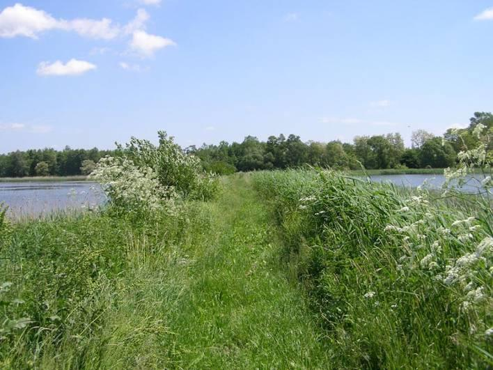 melléklet Miklósfai Mórichelyi-halastavak (HUBF10001) Natura