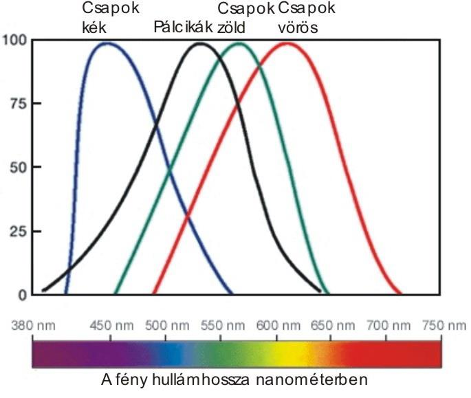 de éles látás helyén nincsen.