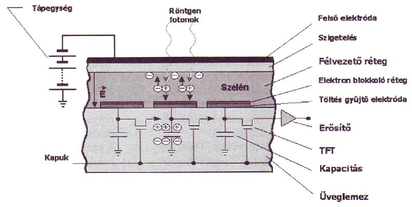 (2) Közvetett és (3) közvetlen kvantumdetektorok (2) Közvetett ( hagyományos ) kettős energiaátalakítós SZCINTILLÁCIÓS DETEKTOR Spec közegben atomi ütközések rövid felvillanások (szcintillációk)