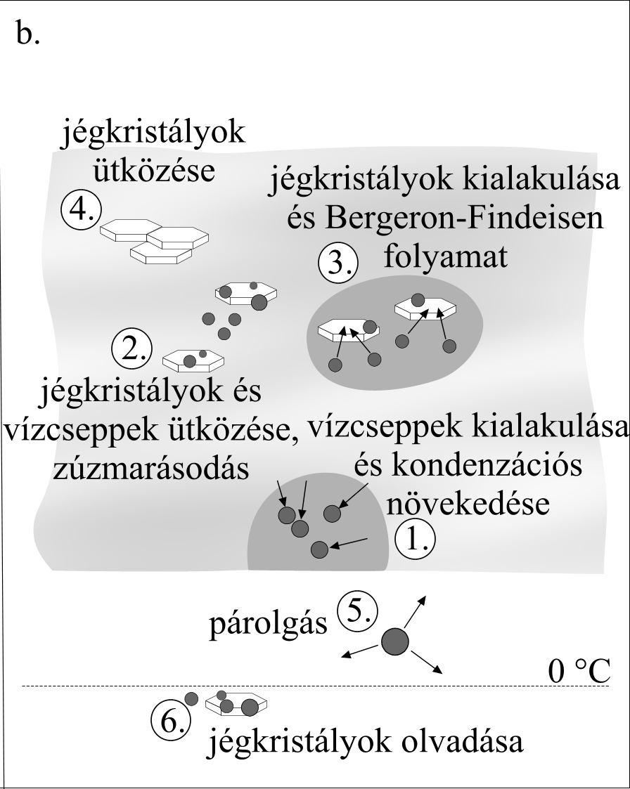 Csapadékképződés - 0 C alatti rétegfelhőkben (1) vízgőz kondenzációja (2) jégkristályok zúzmarásodása (3) Bergeron Findeisen Findeisen: vízcseppek párolgp rolgása => apróbb felhőrészecsk szecskék k a