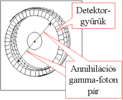 idejük: 11 C 20,4 min 13 N 9,96 min